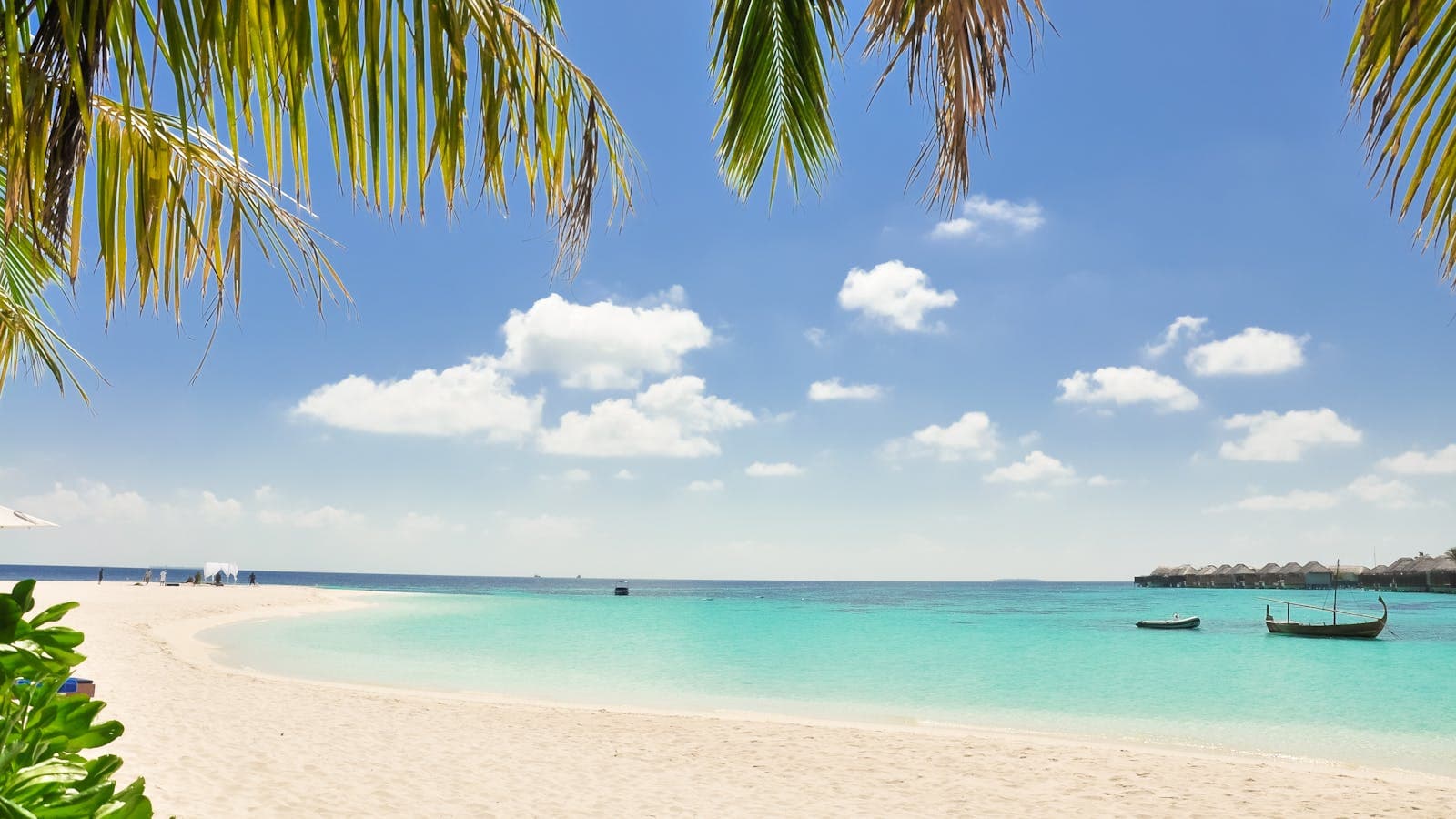 Bali โ palm-fringed coastline under clear dry-season skies